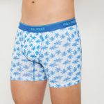 Boxer-largo-Pack-3-Boxer-Largo-Algodon-Palmers-Hombre-P3132M66