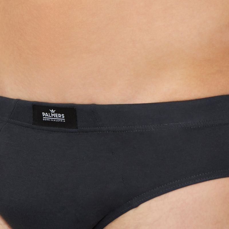 Packs-slips-Pack-5-Slip-Clasico-Algodon-Palmers-Hombre-P5104G84